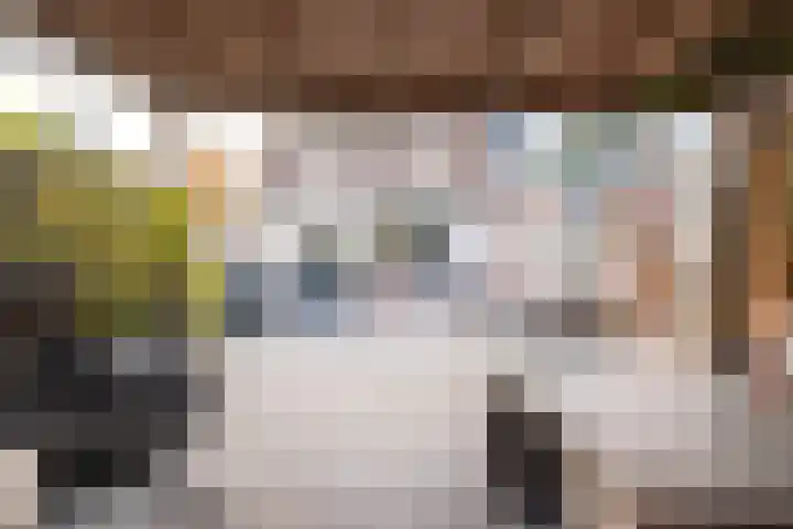 Turfstekershoeve 124 Apeldoorn thumbnail 18