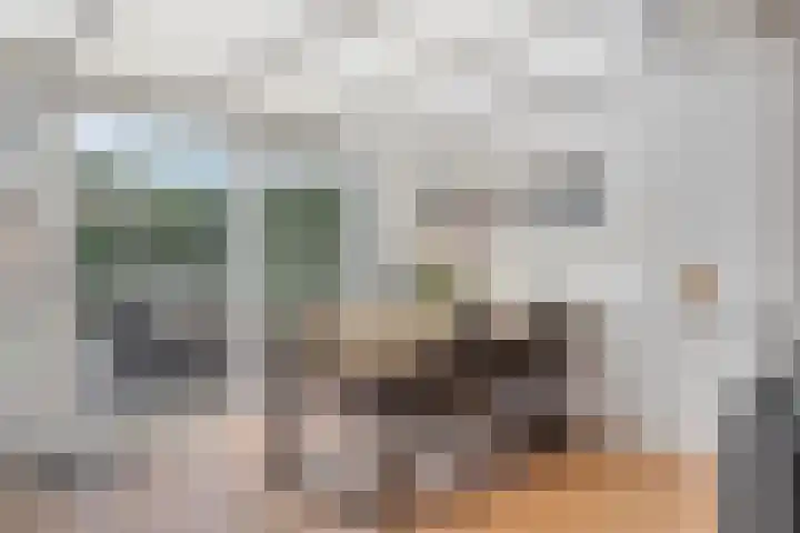 Turfstekershoeve 15 Apeldoorn thumbnail 11