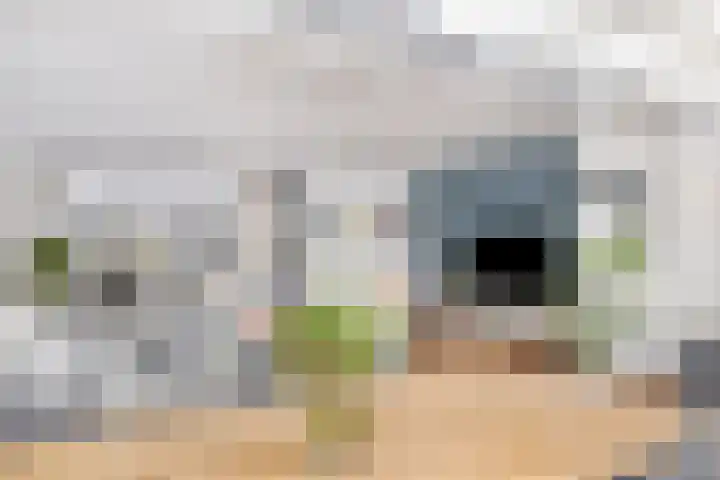 Turfstekershoeve 15 Apeldoorn thumbnail 12