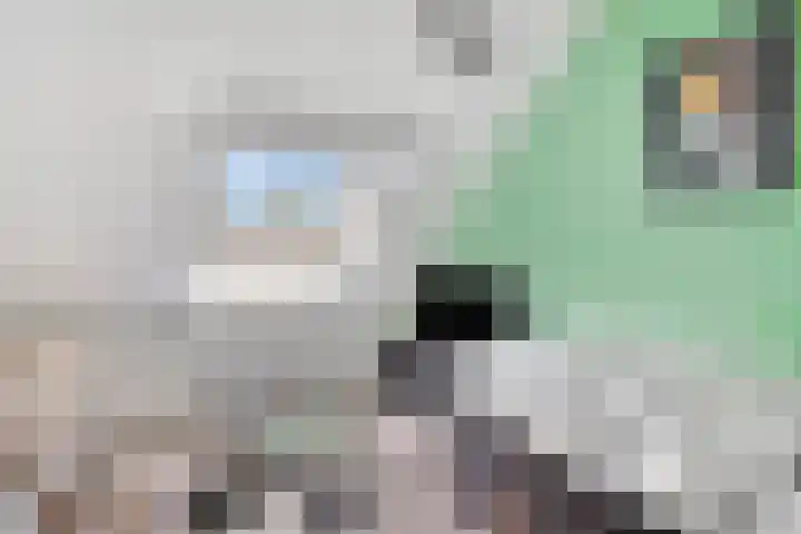 Turfstekershoeve 15 Apeldoorn thumbnail 22