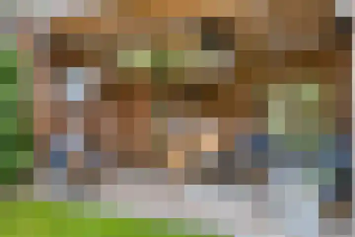 Turfstekershoeve 15 Apeldoorn thumbnail 30