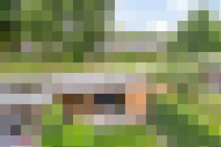 Turfstekershoeve 15 Apeldoorn thumbnail 35