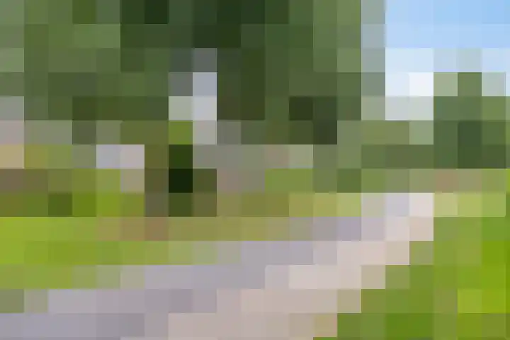 Turfstekershoeve 15 Apeldoorn thumbnail 38
