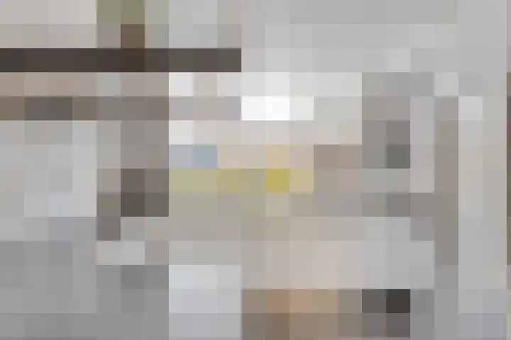Turfstekershoeve 15 Apeldoorn thumbnail 6