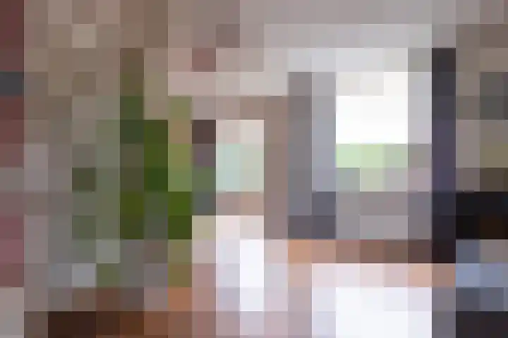 Turfstekershoeve 22 Apeldoorn thumbnail 17