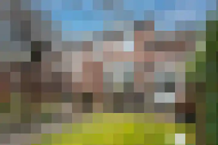 Turfstekershoeve 22 Apeldoorn thumbnail 29