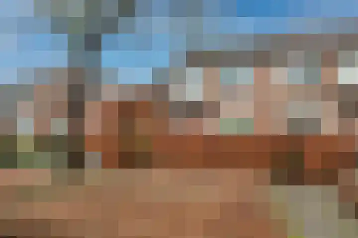 Turfstekershoeve 22 Apeldoorn thumbnail 4