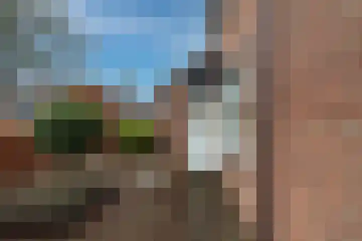 Turfstekershoeve 22 Apeldoorn thumbnail 7