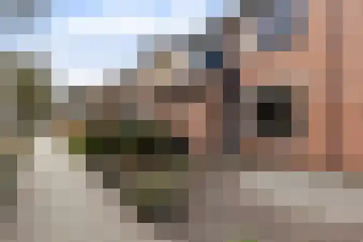 Turfstekershoeve 25 Apeldoorn thumbnail 36