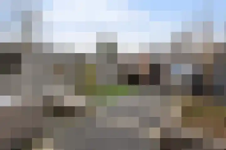 Turfstekershoeve 25 Apeldoorn thumbnail 9