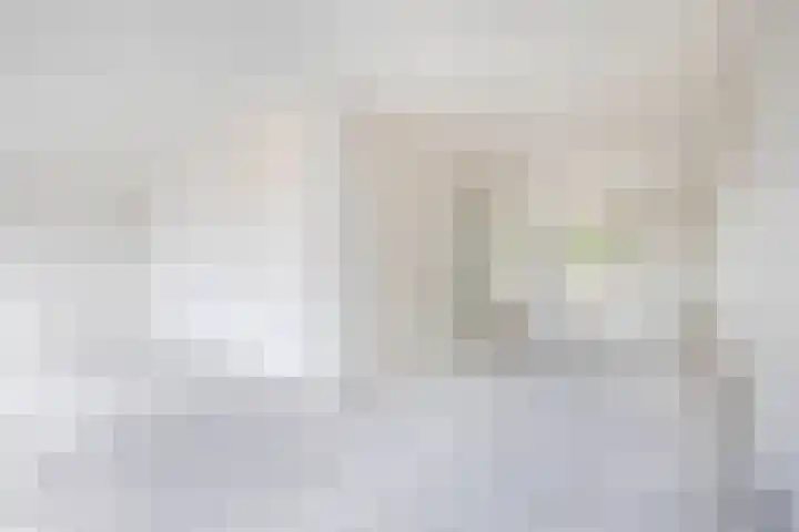 Turfstekerskade 28 Lisse thumbnail 11