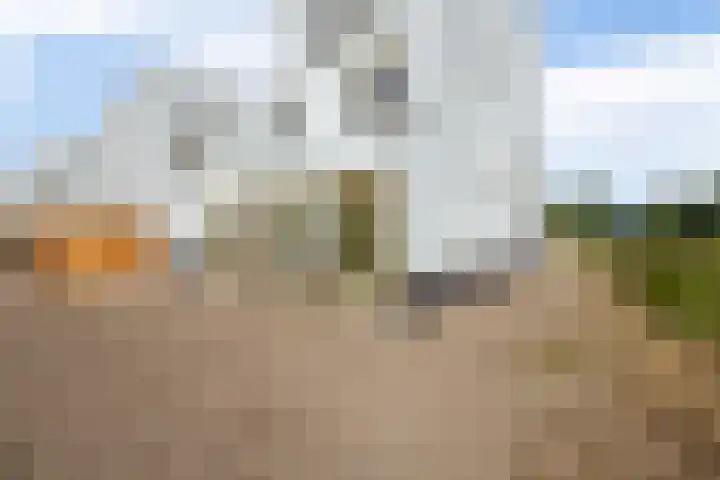 Turfstekerskade 28 Lisse thumbnail 19