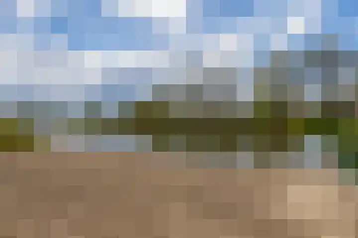Turfstekerskade 28 Lisse thumbnail 21