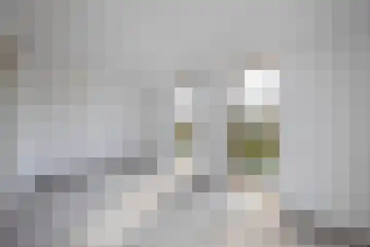 Turfstekerskade 28 Lisse thumbnail 35
