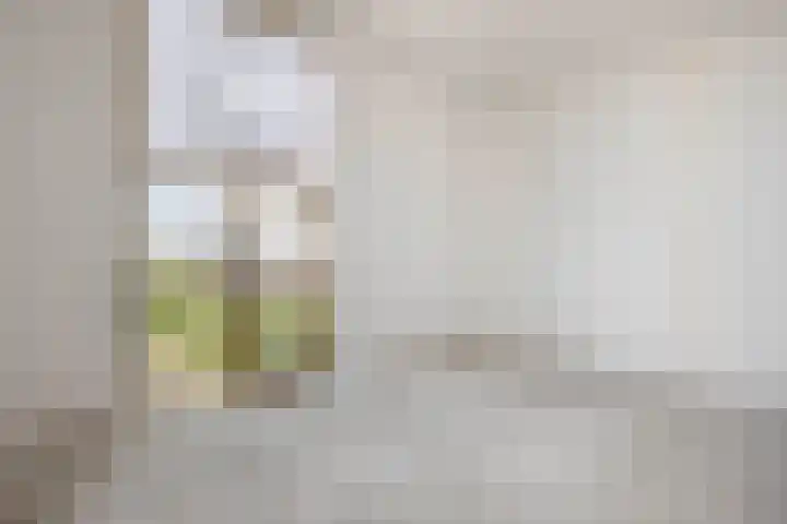 Turfstekerskade 28 Lisse thumbnail 37