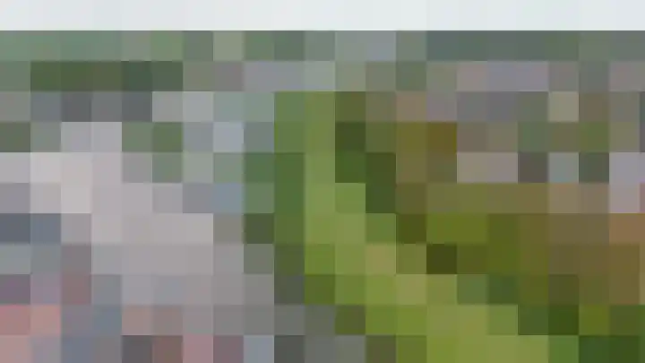 Turfstekerskade 28 Lisse thumbnail 42