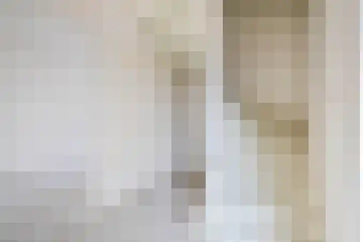 Turfstekerskade 28 Lisse thumbnail 8