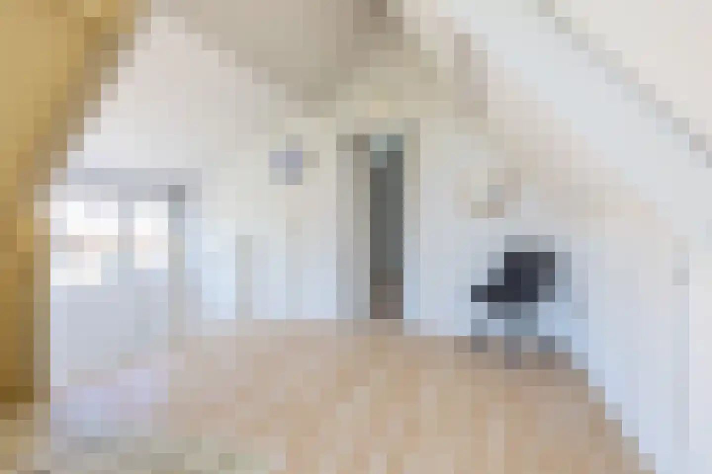 Turfstekerslaan 1 Nederhorst den Berg thumbnail 32