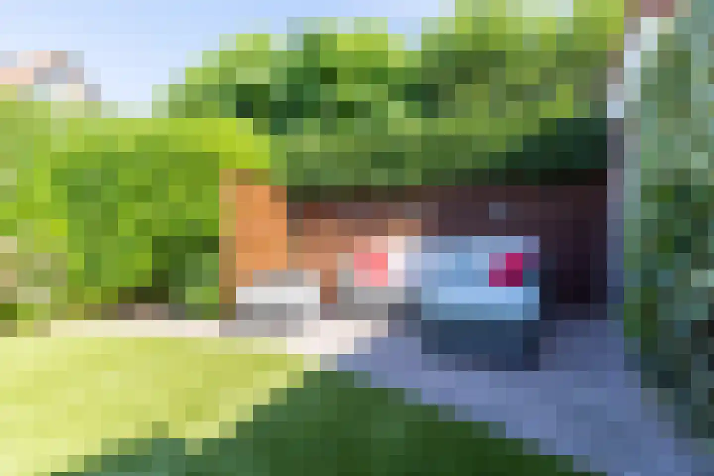 Turfstekerslaan 1 Nederhorst den Berg thumbnail 44