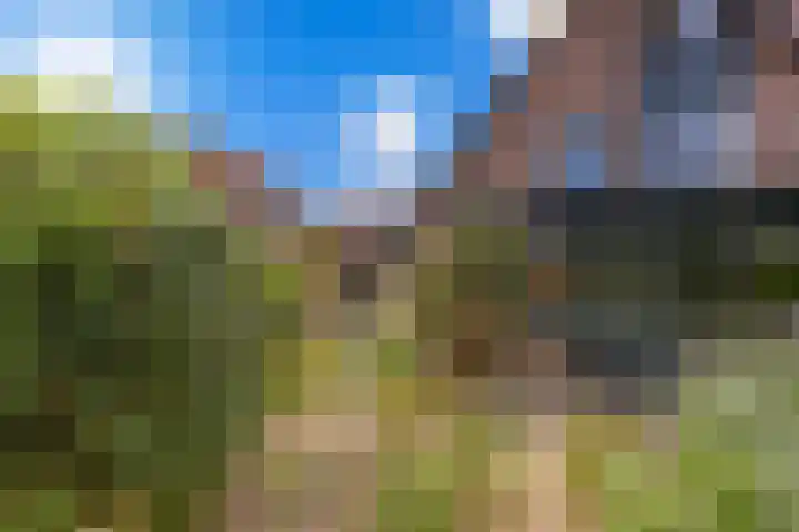 Turfstekerslaan 13 Nederhorst den Berg thumbnail 15