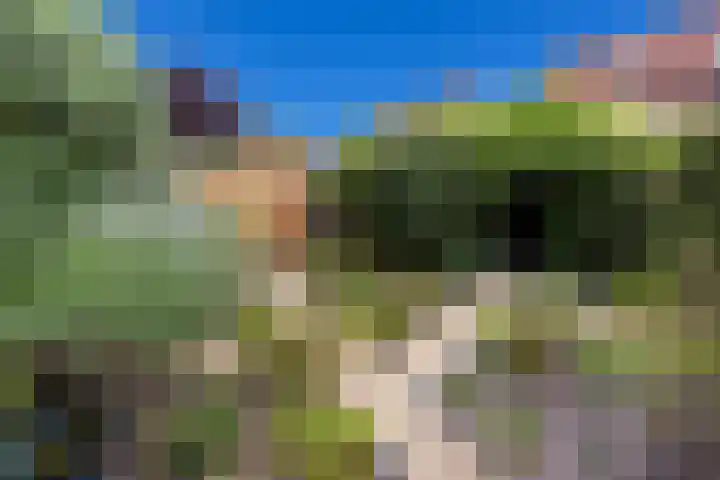 Turfstekerslaan 13 Nederhorst den Berg thumbnail 16