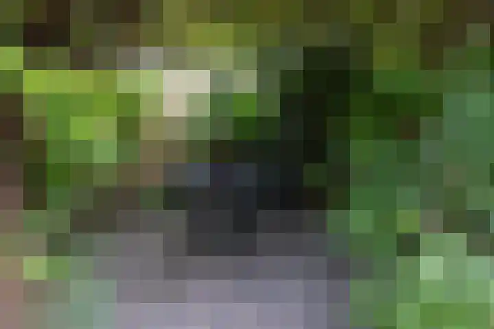Turfstekerslaan 13 Nederhorst den Berg thumbnail 17