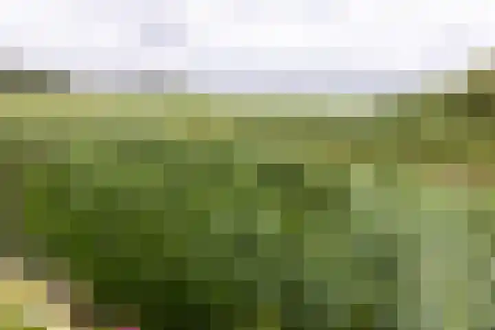 Turfstekerslaan 13 Nederhorst den Berg thumbnail 39