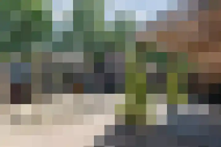 Turfstekerwei 18 Valkenswaard thumbnail 32