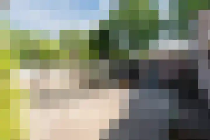 Turfstekerwei 18 Valkenswaard thumbnail 33