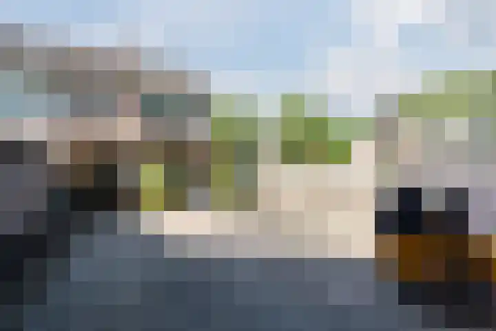 Turfstekerwei 18 Valkenswaard thumbnail 34