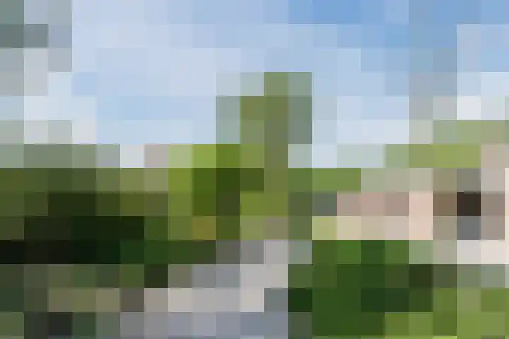 Turfstekerwei 18 Valkenswaard thumbnail 35