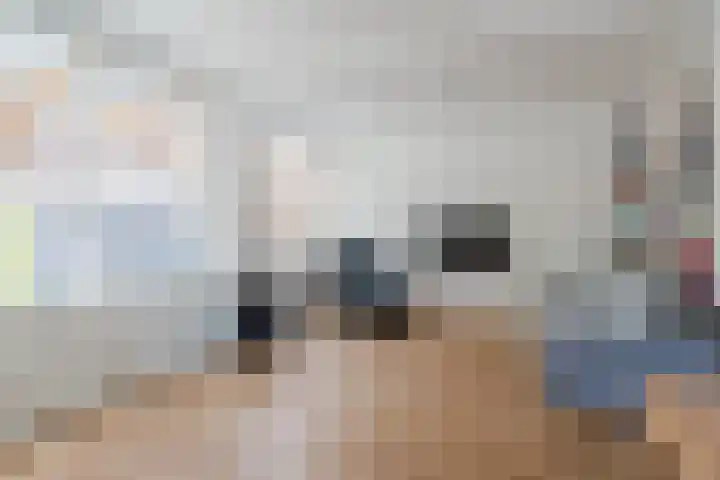 Turfstekerwei 18 Valkenswaard thumbnail 9