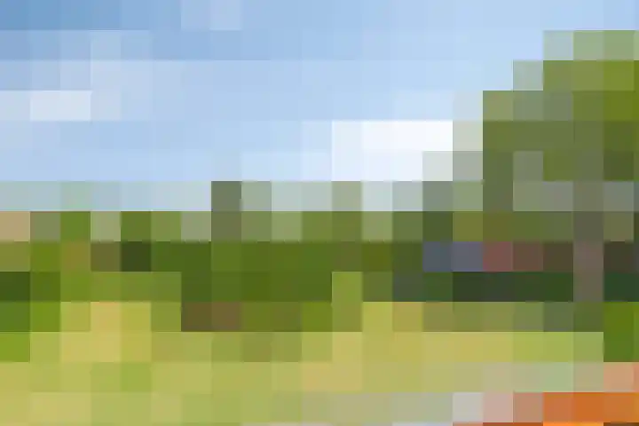 Turfstraat 10 Sprundel thumbnail 42