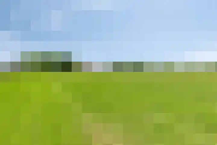 Turfstraat 10 Sprundel thumbnail 6