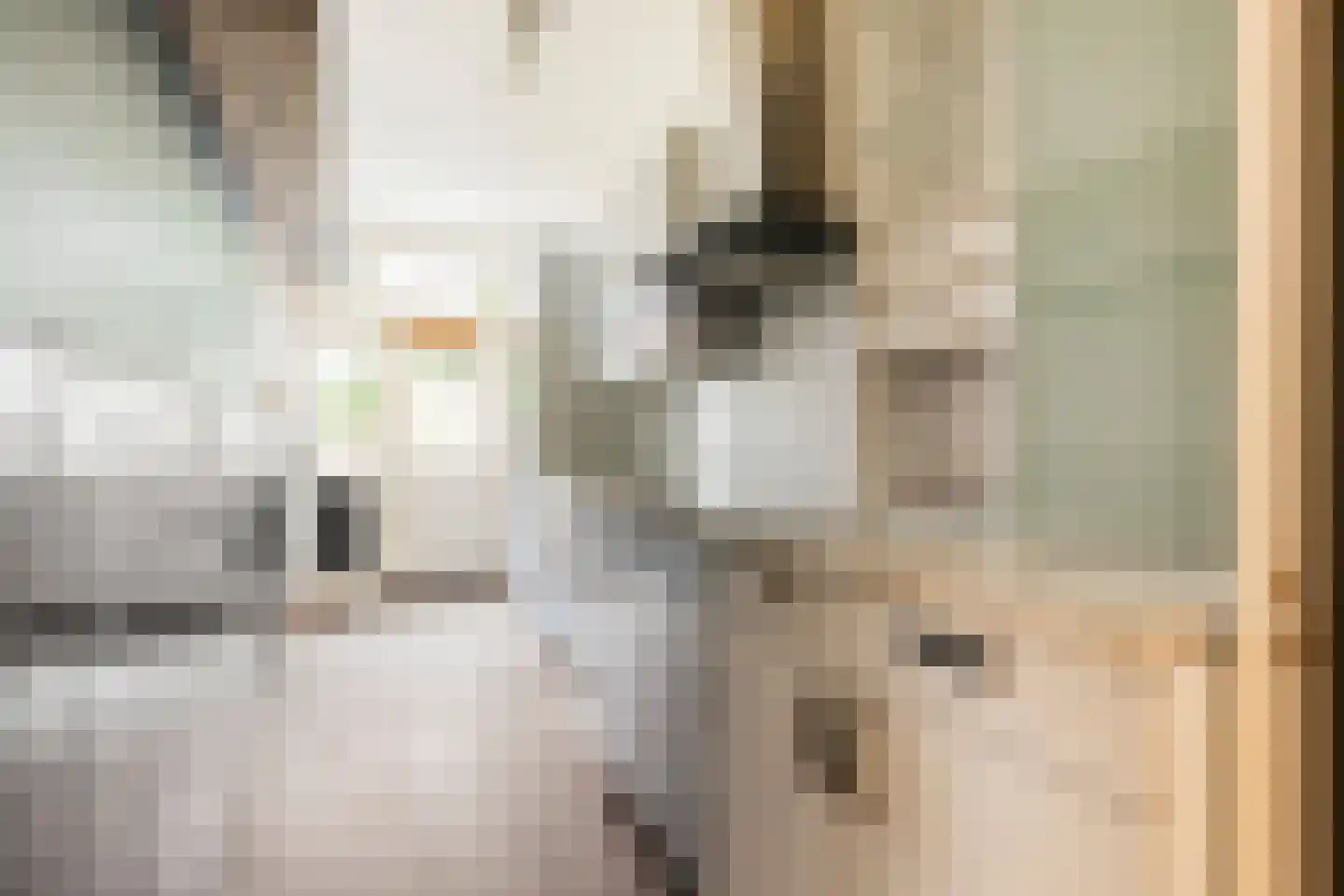 Turfstraat 11 Groningen thumbnail 20