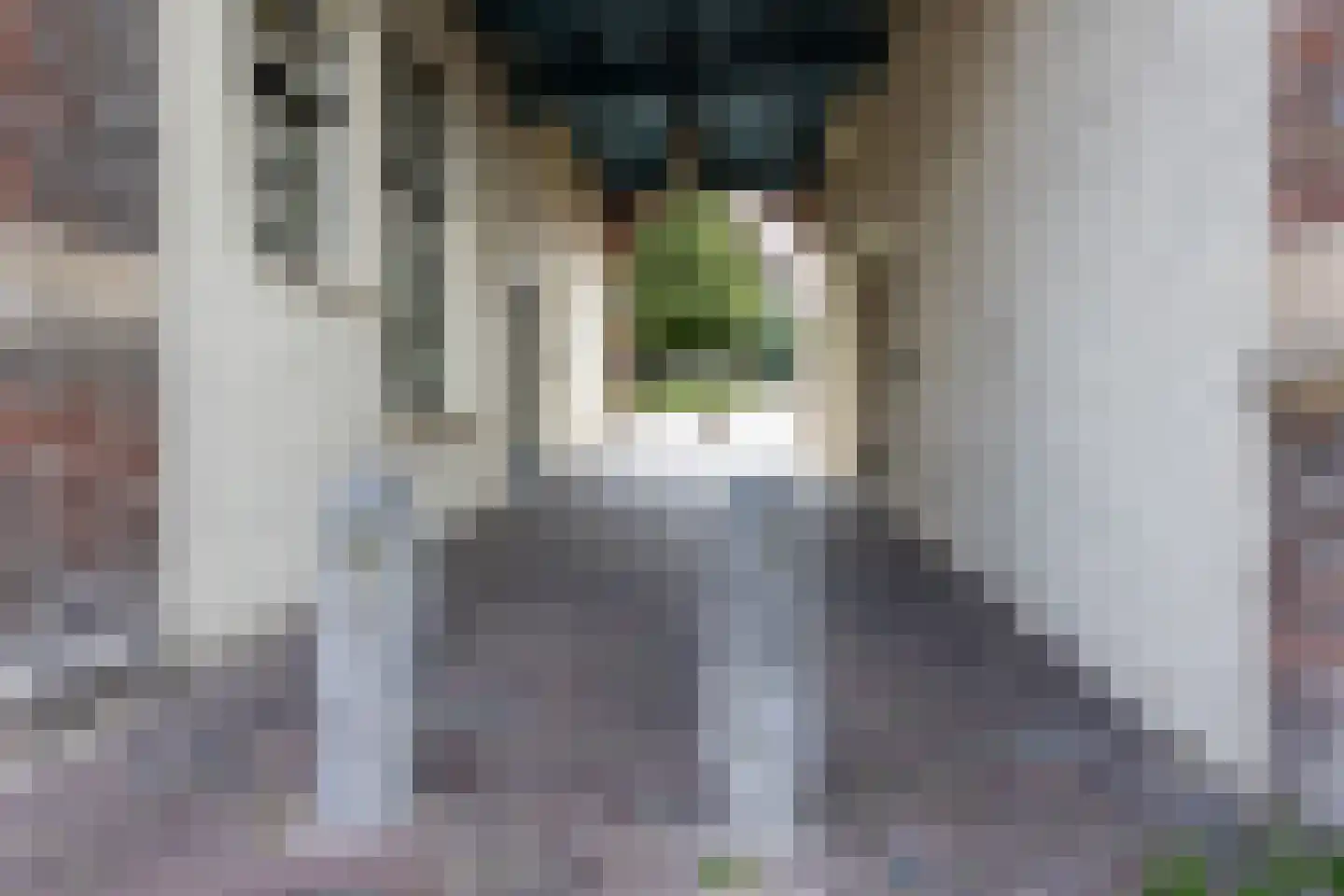 Turfstraat 11 Groningen thumbnail 35