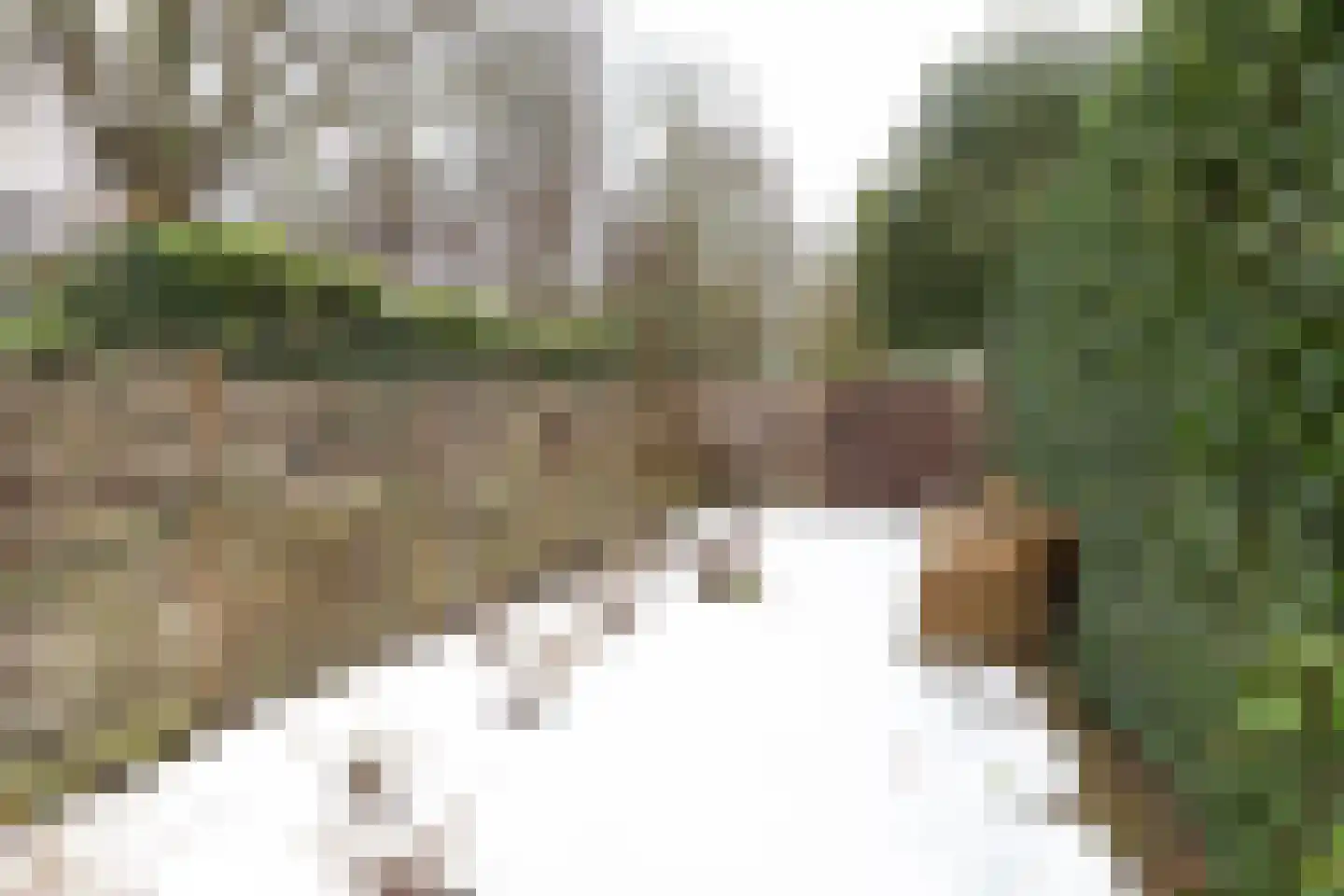 Turfstraat 2 Baarn thumbnail 20