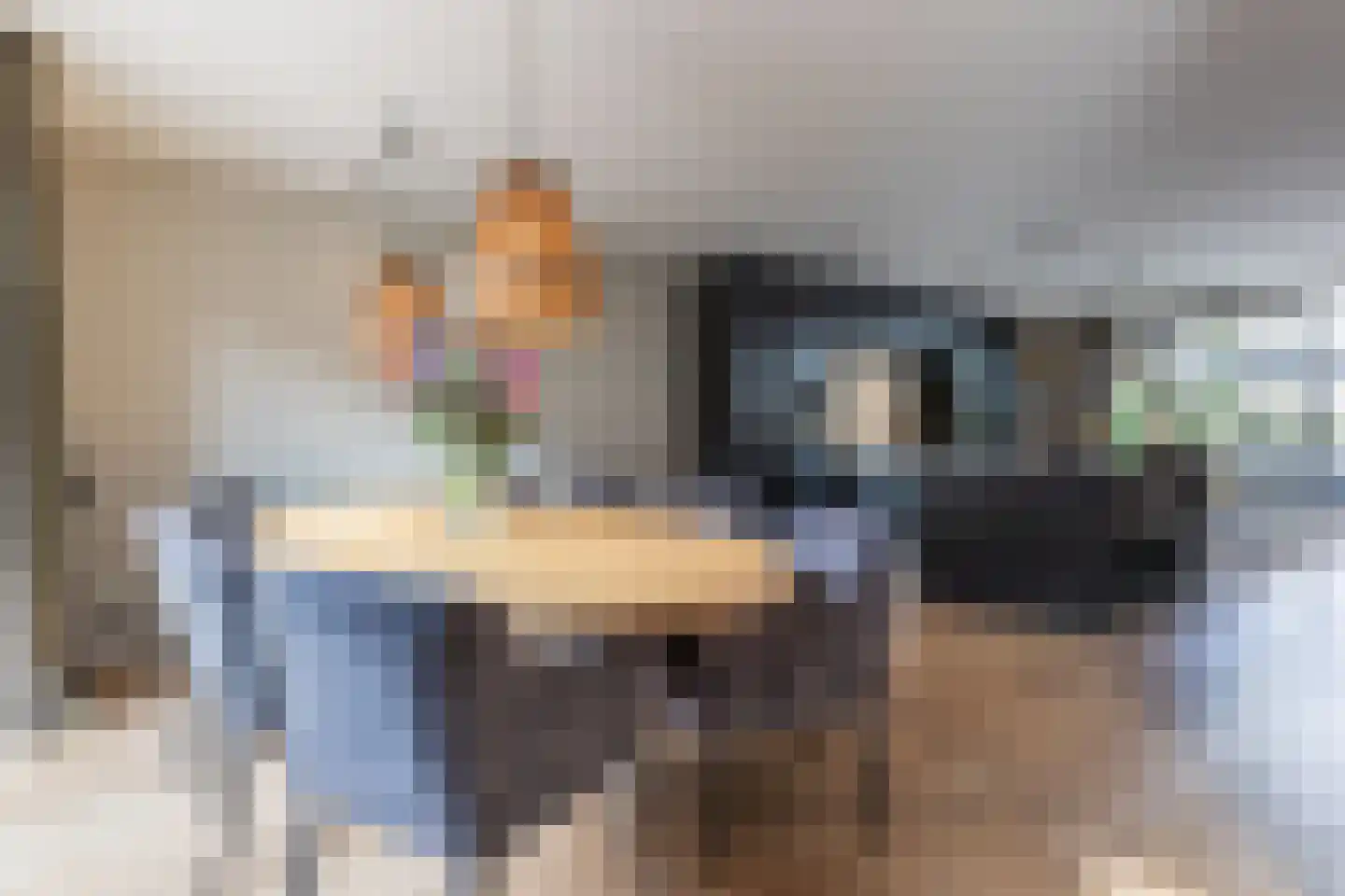 Turfstraat 20 Arnhem thumbnail 18