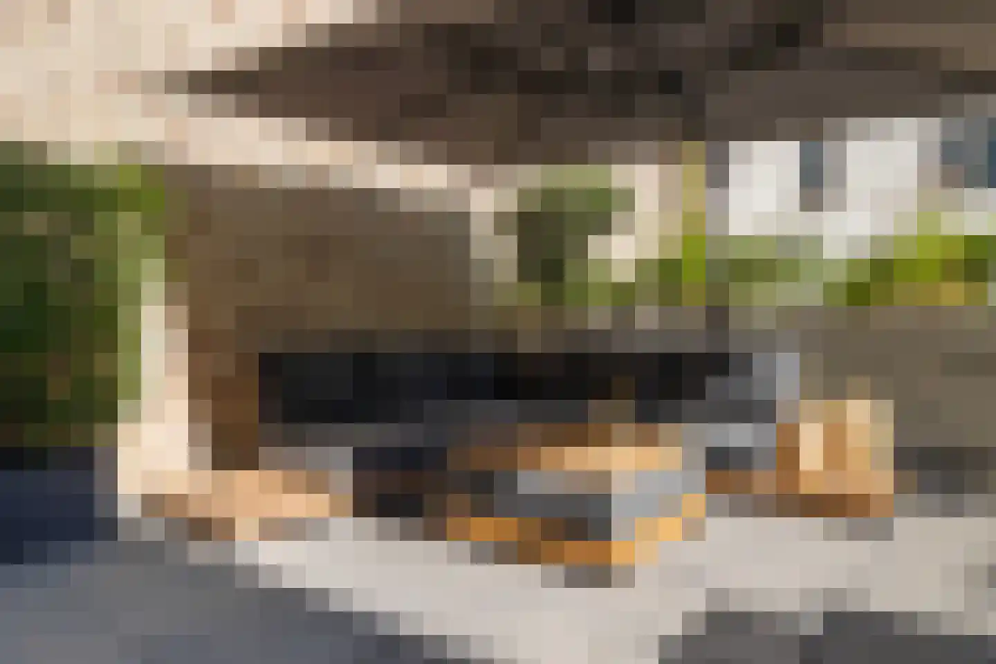 Turfstraat 20 Arnhem thumbnail 23