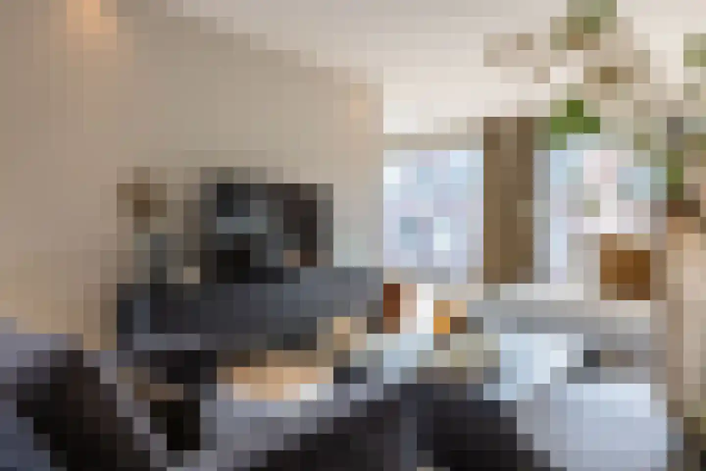 Turfstraat 20 Arnhem thumbnail 32