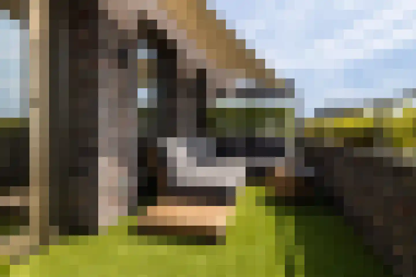Turfstraat 20 Arnhem thumbnail 53