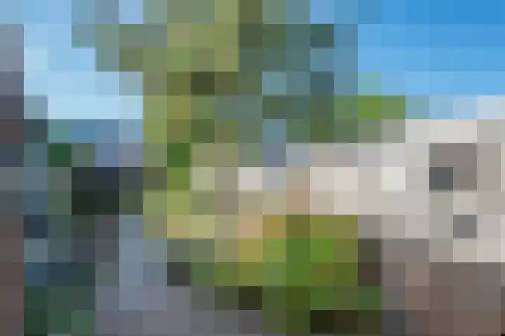 Turfstraat 22 A Venlo thumbnail 31