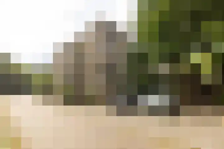 Turfstraat 26 Hilversum thumbnail 21