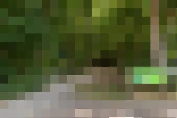 Turfstraat 26 Hilversum thumbnail 23