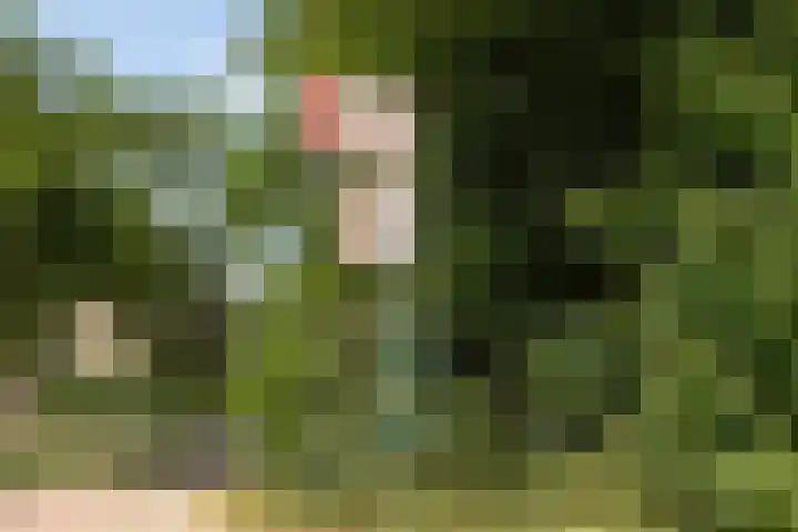 Turfstraat 26 Hilversum thumbnail 24