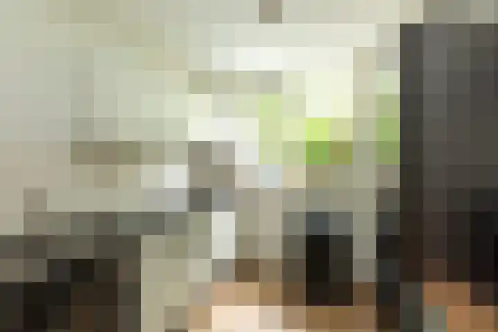 Turfstraat 26 Hilversum thumbnail 9