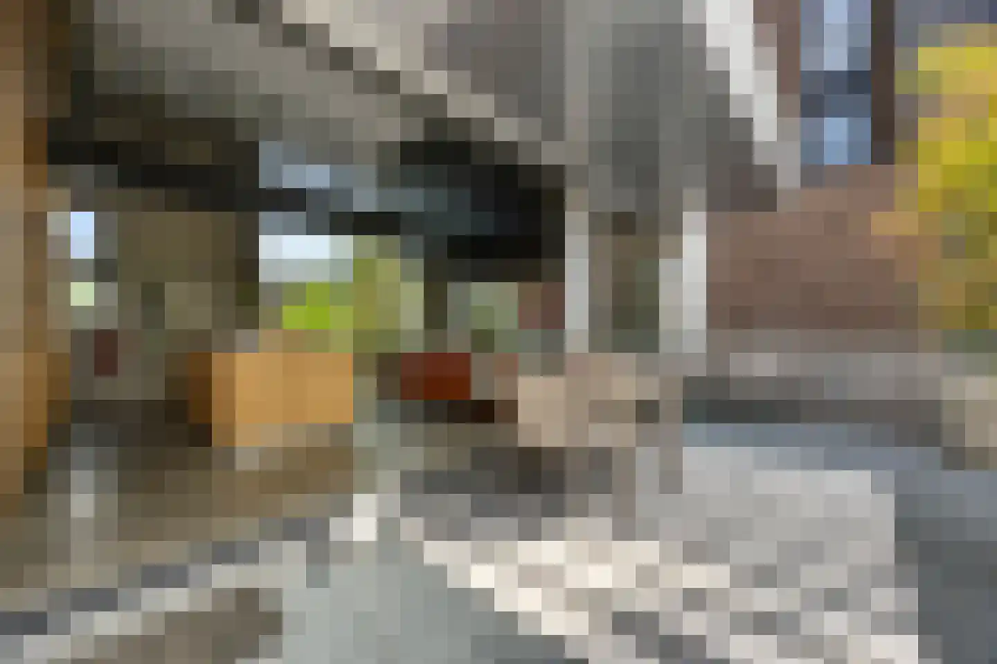 Turfstraat 27 Arnhem thumbnail 21