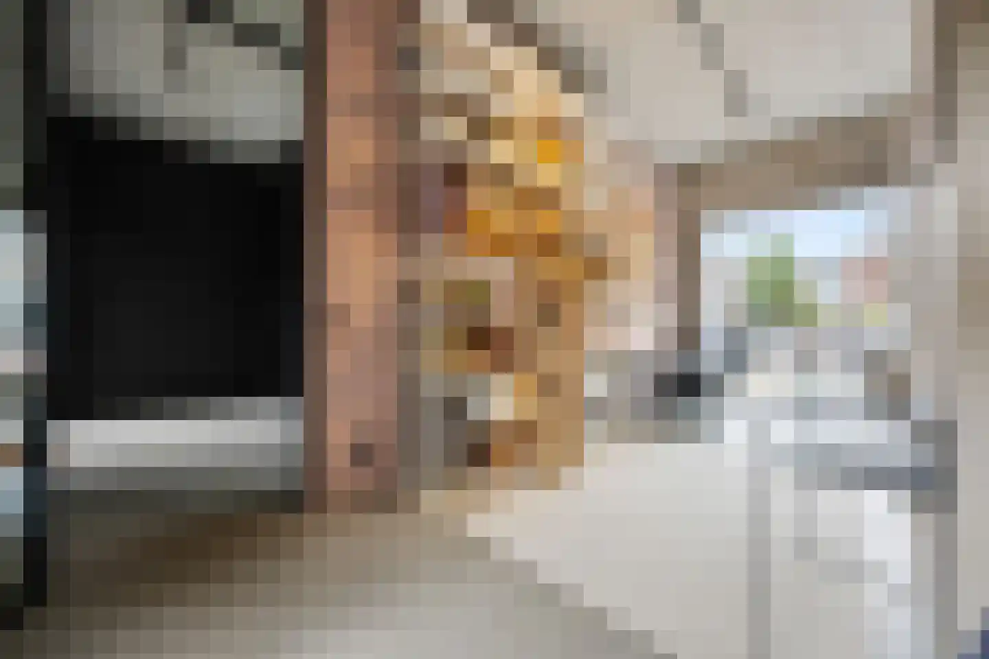 Turfstraat 27 Arnhem thumbnail 31