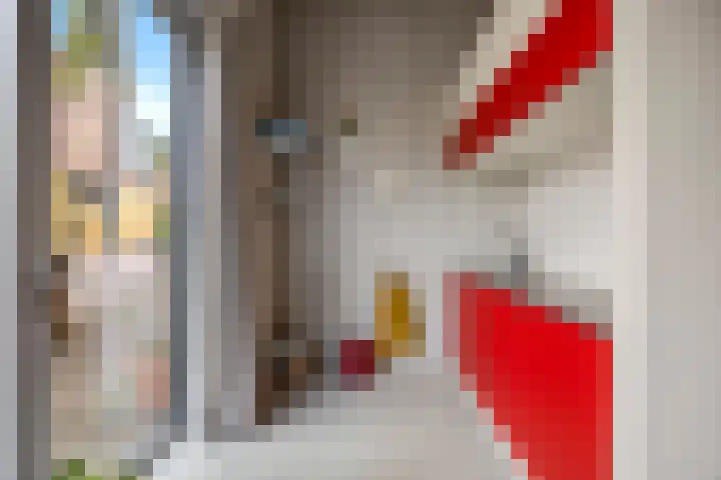 Turfstraat 27 Arnhem thumbnail 34