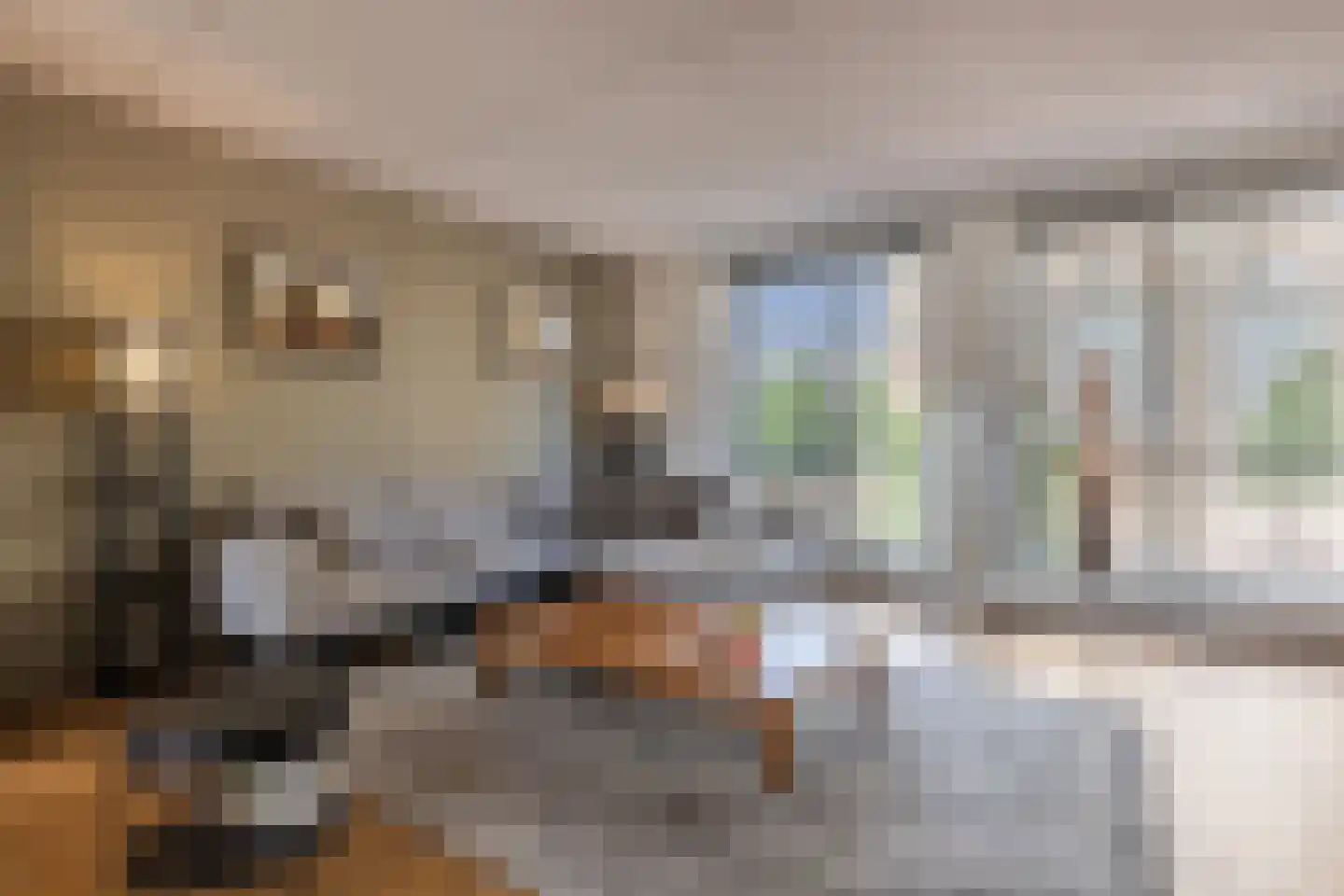 Turfstraat 3 Arnhem thumbnail 22